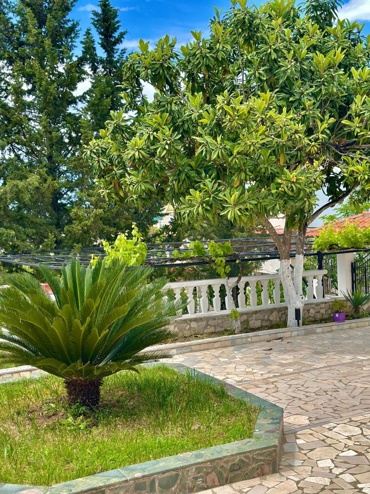 Villa Braho Gjirokastër Extérieur photo