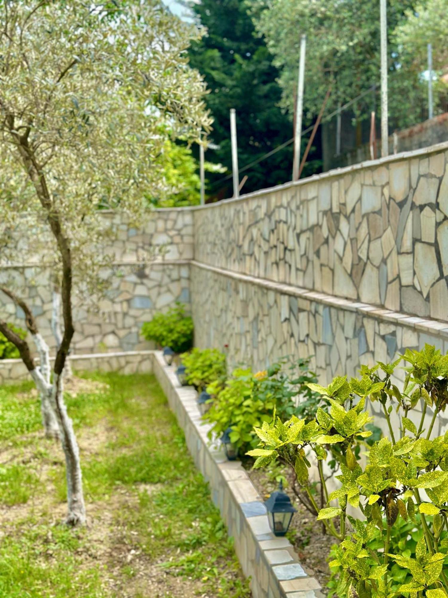 Villa Braho Gjirokastër Extérieur photo